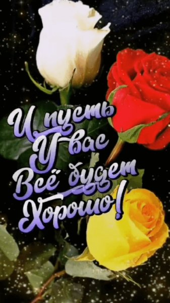 IMG 20220219 201820