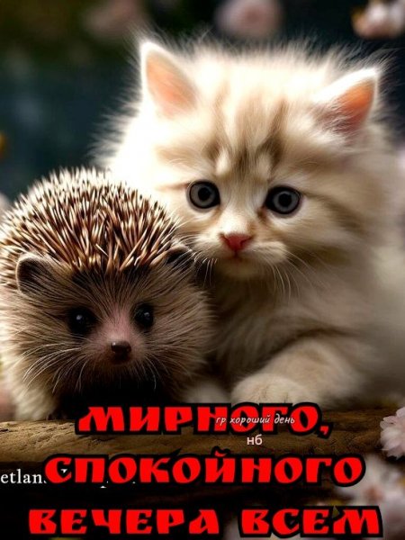 D751c5348c8a749aeee290b07101bd9c