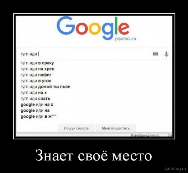picture_378732252