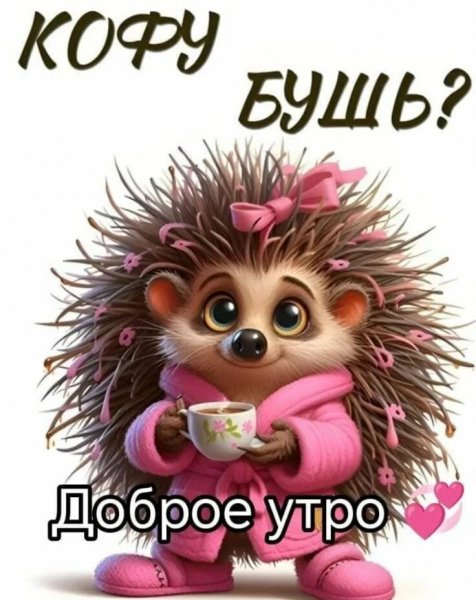 IMG-20251009-WA0003