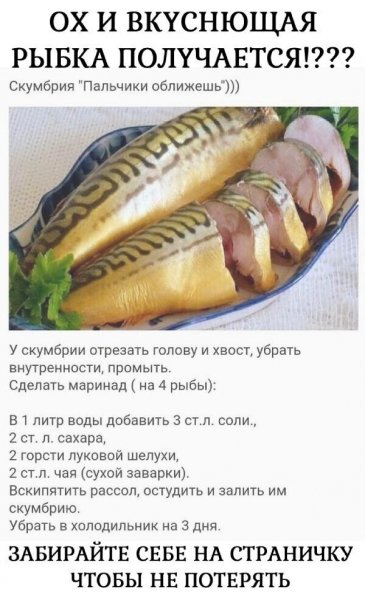 IMG 20240415 215705