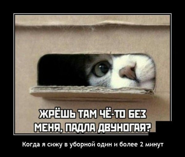 picture_408735587