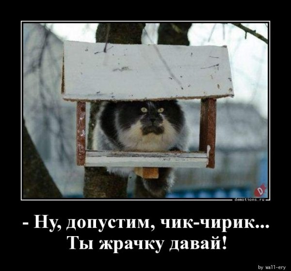 Nu-dopustim-chik-ch demotions.ru