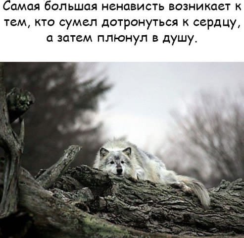 picture_215271065
