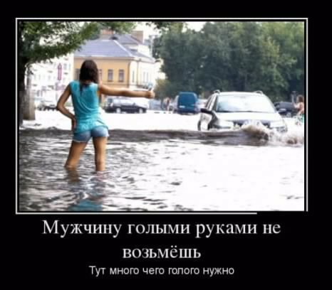picture_238484774