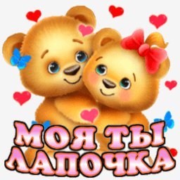 мишки