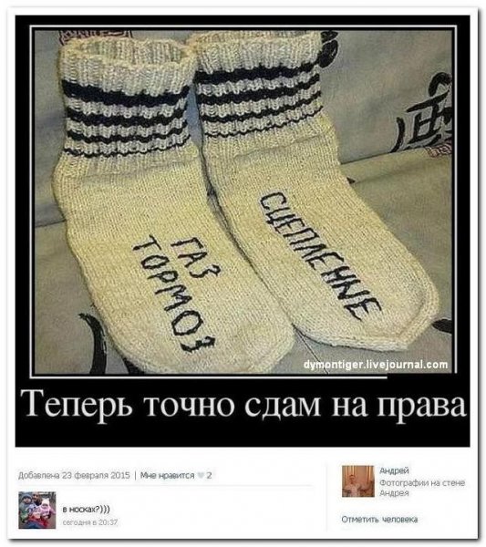 bd6a481689436923879a179ee1ef3