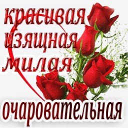 розы