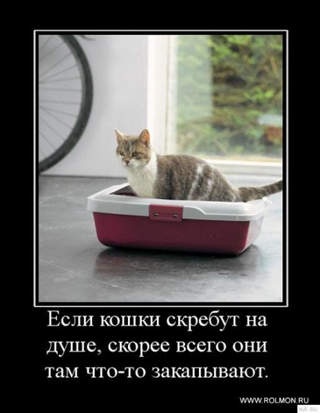 Demotivatory (57)