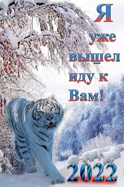 IMG-20211231-WA0001