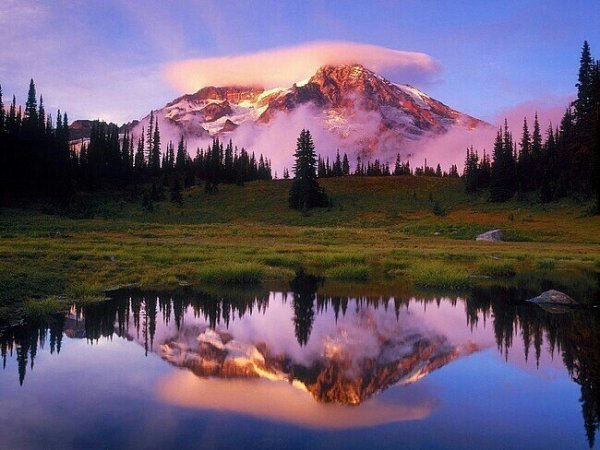 getImage