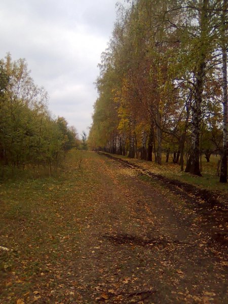 Рафаиловский сад