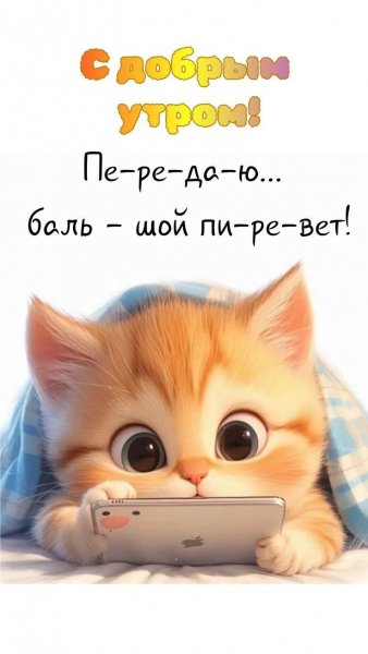 B00d9284dec1ffabbe658e61e9ec006d