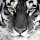 Key with python modul pack 1.4.5