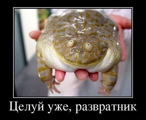 IMG 20161023 171235 26