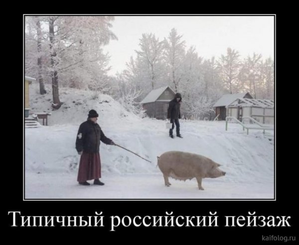 picture_379875495