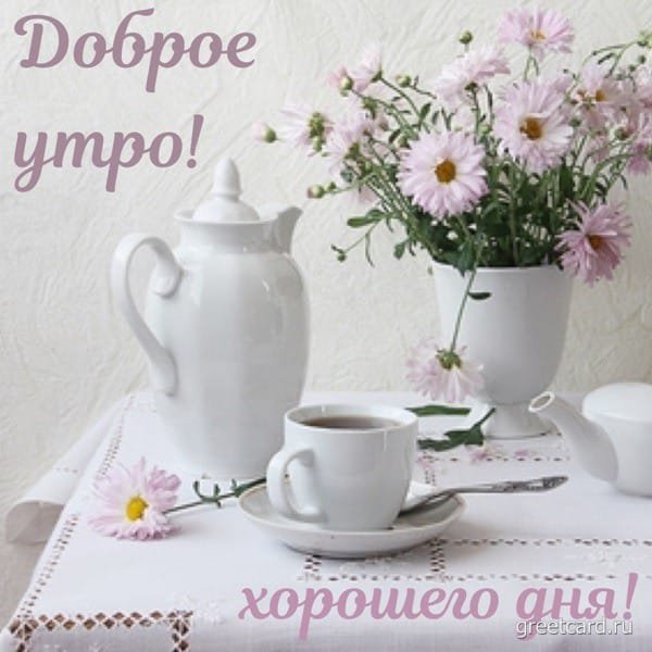 IMG-20220331-WA0006