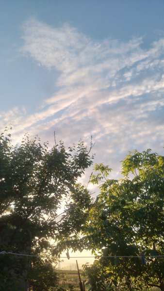 picture_413025998