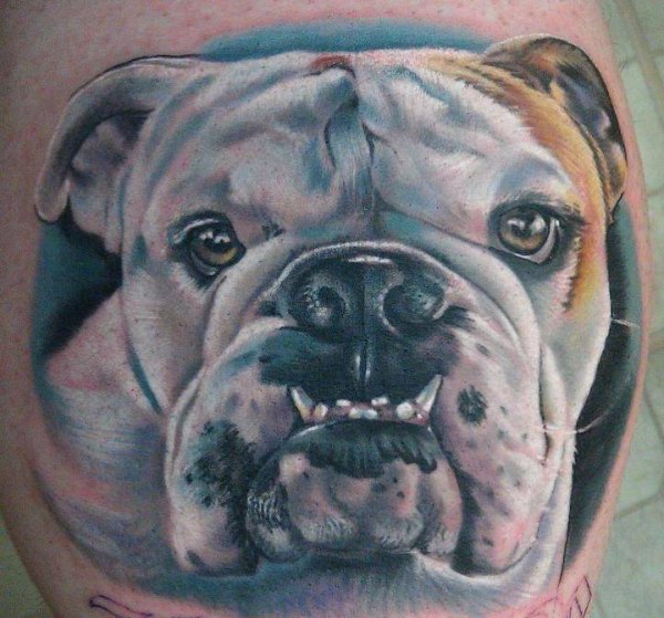 Tattoo (4508)
