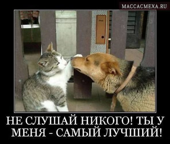 Самый лучший!
