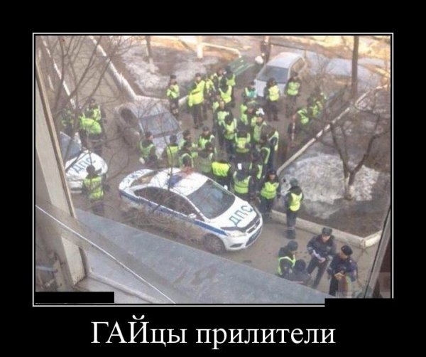 Гайцы