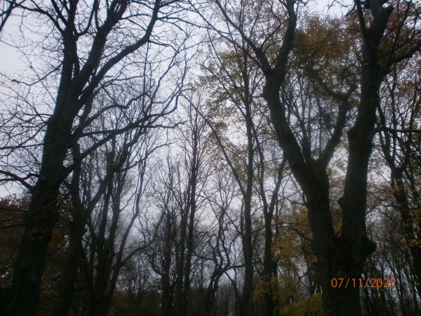 PB070001