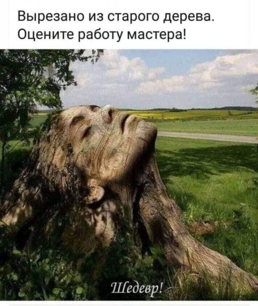IMG 20210719 143909