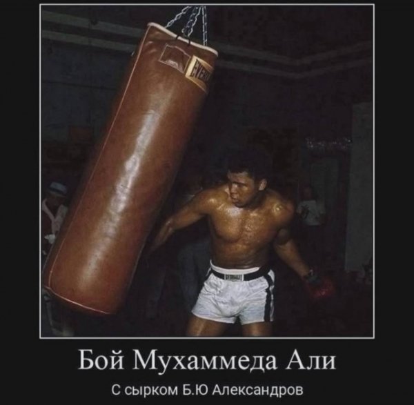 D1a40a19db 20649789