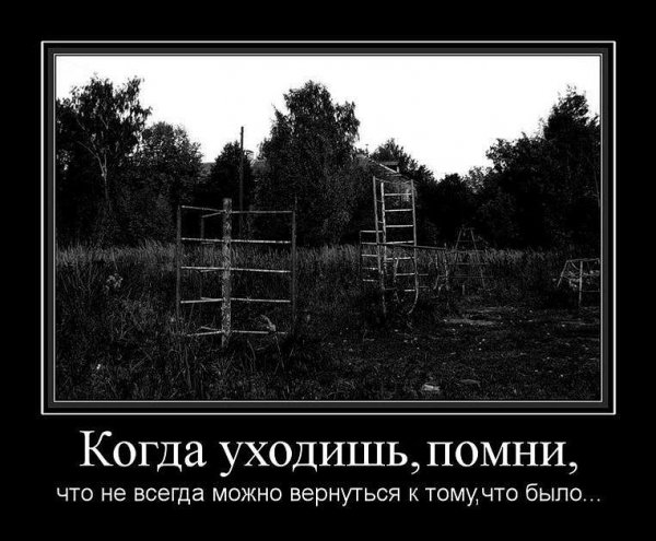 image (8)