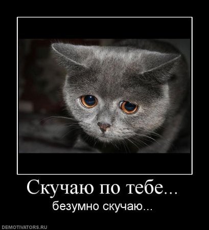 Demotivatory (15)