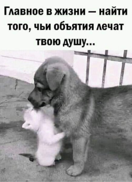FB IMG 1626553579211