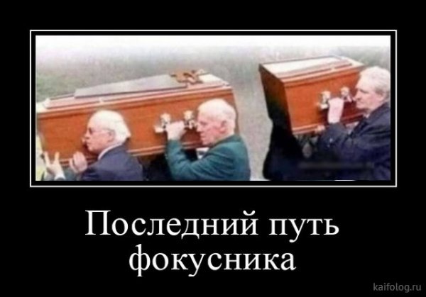 picture_379118761