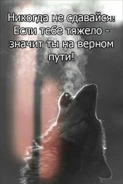IMG 20210205 023809