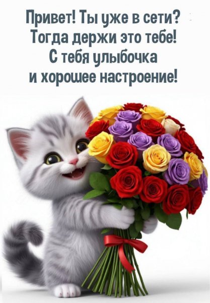 IMG-20251114-WA0019