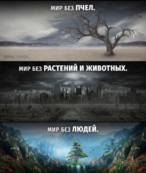 Мир без...