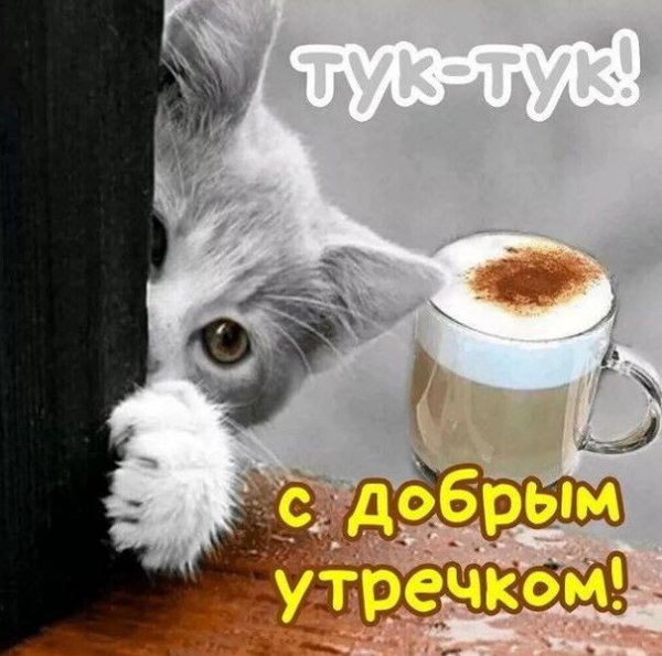 93eee347114a75baad241545d25e3ffa