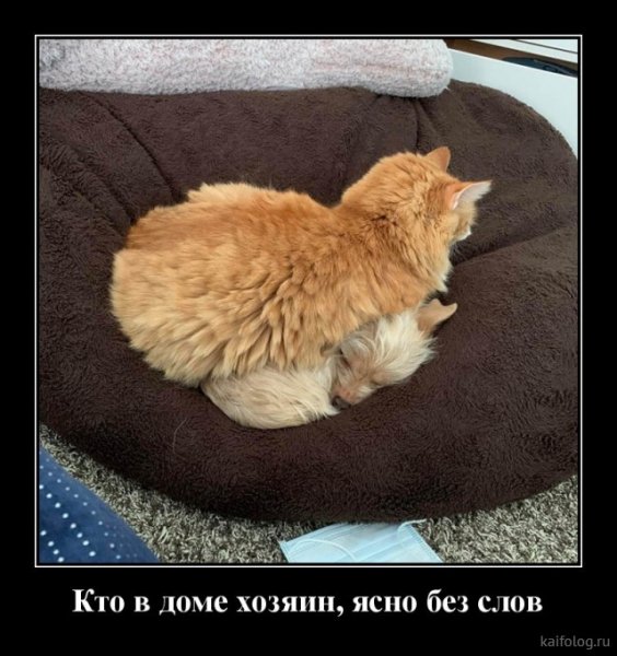 picture_381248927