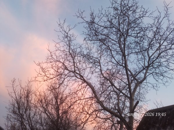 picture_411480320