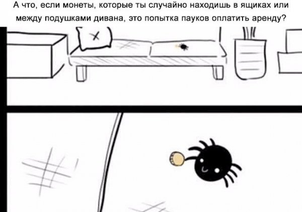 R5iFk58NDpY