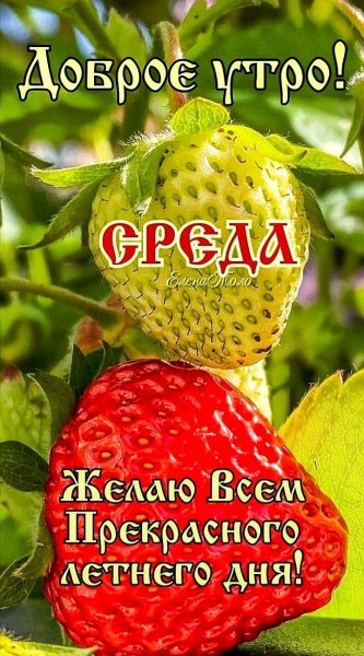 Друзья мои!