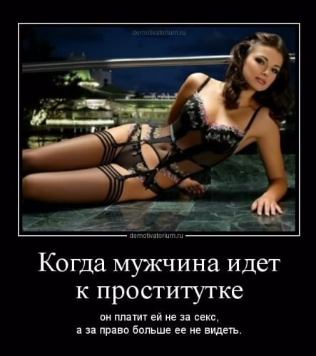 picture_226252595