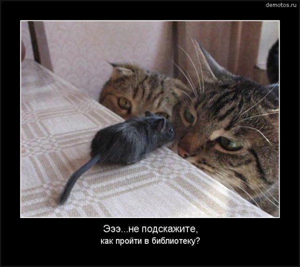C9f48275f4971f58af7ee5e28d8806e1