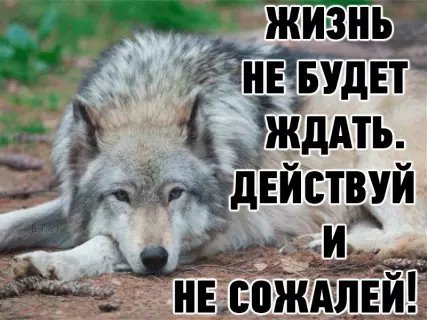 picture_212809996