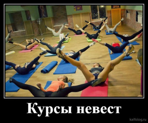 picture_379772493