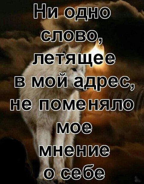 image (2) (19)