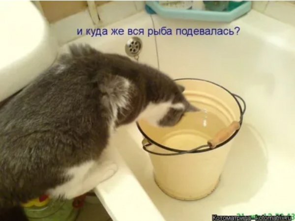 А???