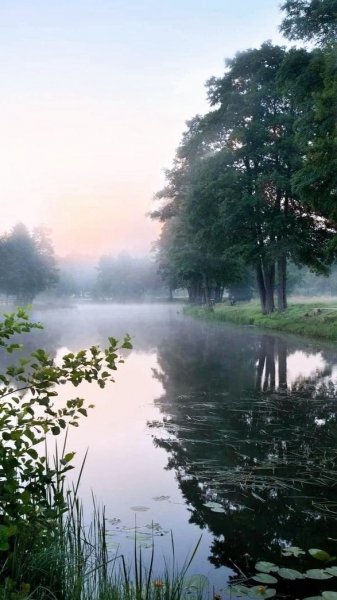 picture_353863759