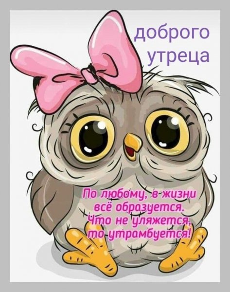 O8DupLOY4uo