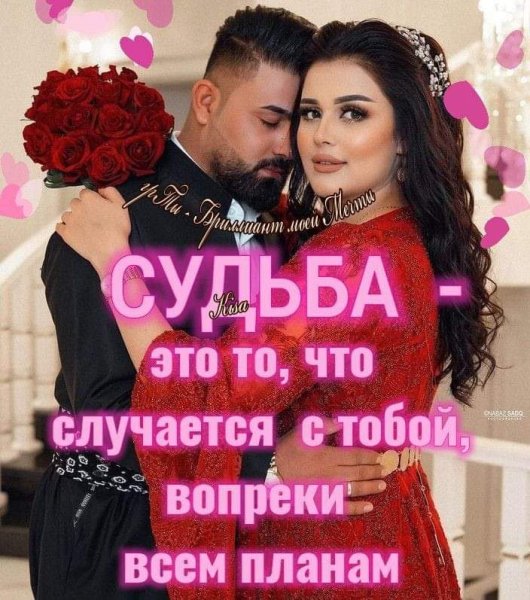 FB IMG 1704706686919