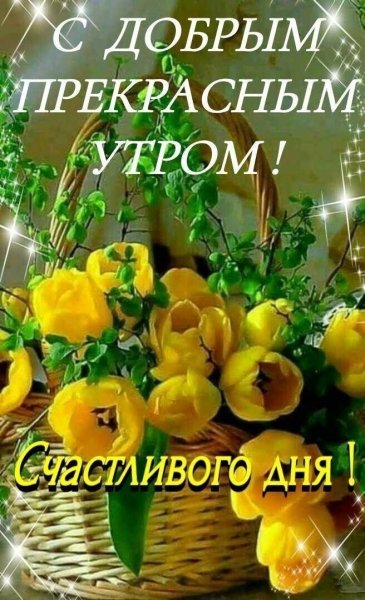 d93205371495fa129ec9d734b072af62